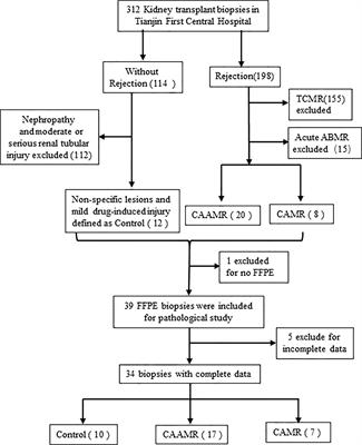 PSMP Is Discriminative for Chronic Active Antibody-Mediated Rejection and Associate With Intimal Arteritis in Kidney Transplantation